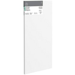 WINSOR & NEWTON Slikarsko platno z okvirjem profesionalni (40 x 80 x 2,1 cm, Tkanina iz bombažne mešanice, 3-krat grundirano, Gramatura: 385 g/m², Srednje fina) Cene