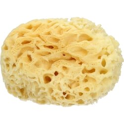 Cose della Natura Izbjeljena Honeycomb-spužva - 12-14 gr Cene