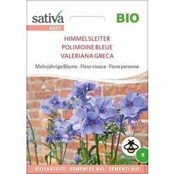 Sativa Ekološka trajnica "Himmelsleiter" Cene