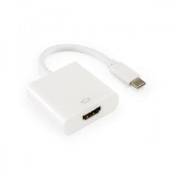 S Box SBOX ADAPTER HDMI ŽENSKI - TYPE C MUŠKI Cijene