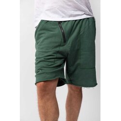 Street Hunters Street basketball green Cene