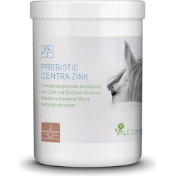 Valetumed Prebiotic Centra Zink - 750 g Cene