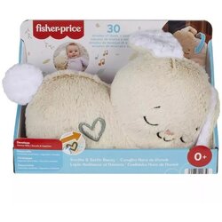 Fisher Price Lutka Beba Fisher Price Cene