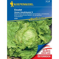  Solata "Grazer Krauthäuptel 2" - 1 pkg Cene
