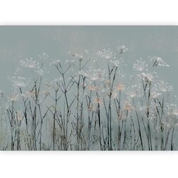 Artgeist Foto tapeta - Garlic Flowers 100x70 Cene