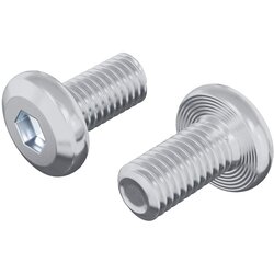 vidaXL Zaklepni vijak Enobarvno 2 pcs srebrna M6 x 12 mm Jeklo, (5000163925) Cene