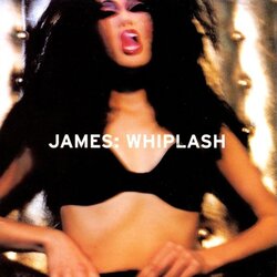 Vinyl LP James – Whiplash Cene