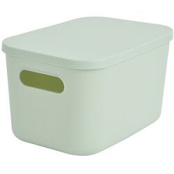 Homéa Svetlo zelena plastična škatla za shranjevanje s pokrovom 24,5x18x15 cm – Cene