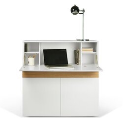 TemaHome Delovna miza Focus Cene