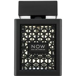 Rave Now 100 ml parfumska voda za moške Cene