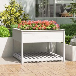 vidaXL visoka greda s polico bela 111,5x111,5x81 cm trdna borovina Cene