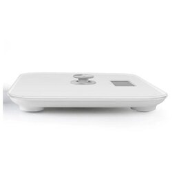 B-Tray scala white vaga Cene