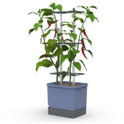 Gusta Garden CHARLY CHILI XL - modra Cene