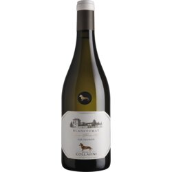 Collavini Sauvignon blanc belo vino Cene