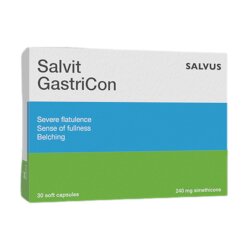 Salvit GastriCon 240mg Cene