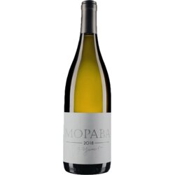 Cilić Morava belo vino Cene