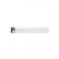 Osram Fluorescentna cijev L 58W-765LF Cene
