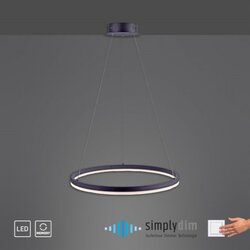 NEUHAUS PAUL Paul Neuhaus 2382-13 - LED prigušiva luster na sajli TITUS LED/38,5W/230V Cene