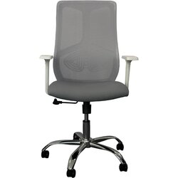 Anji Xinrenjie Furniture daktilo stolica ch star white chrome grey Cene