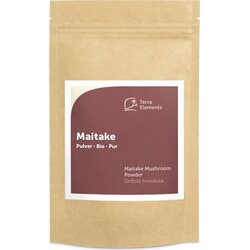 Terra Elements maitake v prahu bio Cene