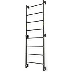 Marbo Sport Čelične ljestve SmartGym 219 x 76 cm Cene