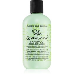 Bumble and Bumble Seaweed Shampoo šampon za kovrčavu kosu s ekstraktima morskih trava 250 ml Cene