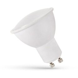 Toolight LED sijalica GU10/6W/230V 6000K Cene