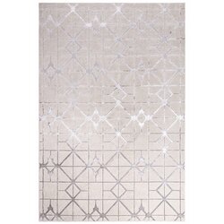 Asiatic Carpets Preproga v srebrno roza barvi 230x160 cm Aurora - Asiatic Carpets Cene