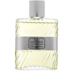 Dior Eau Sauvage voda za po britju v pršilu za moške 100 ml Cene