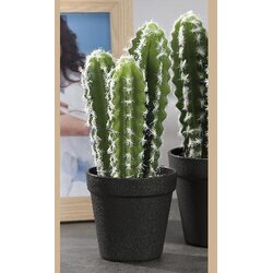 Kaktus 11XH27CM 49711 STAR Cene