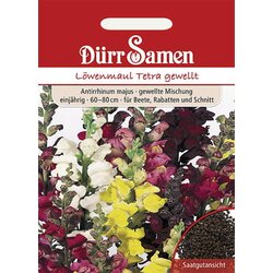 Dürr Samen Odolin Tetra Mix Cene