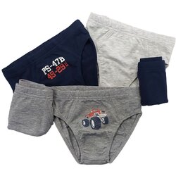 Lucky Kiddo spodnje hlače slip LK- BS 1 2_21 LK- BS 1 2_21 F siva s 110/116 Cene