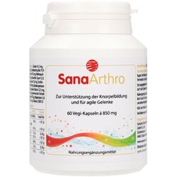 SanaCare SanaArthro - 60 Kapsule Cene