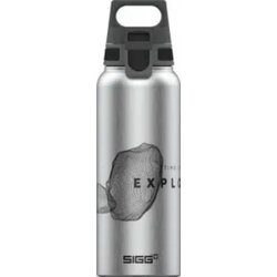 Sigg Aluminijska boca WMB Pathfinder 1 l - 1 kom. Cene