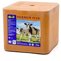 S.I.N. HELLAS Stočna so Selenium plus 10 kg narandžasta Cene
