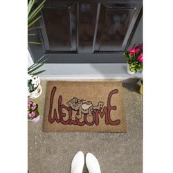 Conceptum Hypnose otirač Welcome Cat, 40x60 cm, šareni Cijene