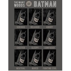 Batman The Many Moods odeja 130x170 Cene