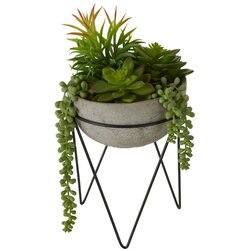 Premier Housewares Umetna sukulenta v sivem lončku Fiori Cene