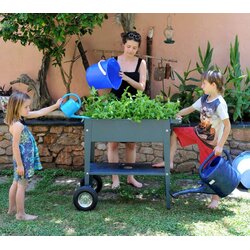 Herstera Garden - Vrtna sadilica s kotačima čelik antracit Cene