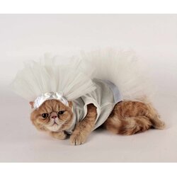Paws &amp; Whiskers Gelinlik White Pet Dress Cene