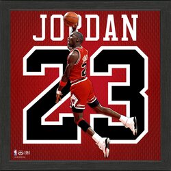 The Highland Mint michael jordan 23 chicago bulls impact jersey frame fotografija v okvirju Cene