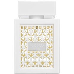 Rave Unisex parfem Rave Now White, 100ml Cene
