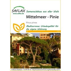 Saflax Mediteranska pinija Cene