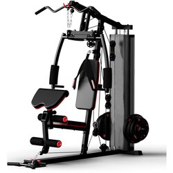 Livefit Poluprofesionalni gladijator, kućna teretana MHG5900 Cene