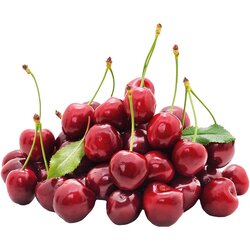 DELTA AGRAR DOO BEOGRAD Tresnja 500g Cene