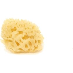 Cose della Natura Izbjeljena Honeycomb-spužva - 4-5 g Cene
