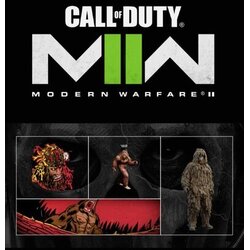 Call of Duty Modern Warfare II - Random Jack Link's Item + 30 min Double XP (DLC) Official Website Key GLOBAL Cene