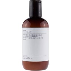 Evolve Organic Beauty superfood balzam za sijaj - 250 ml Cene