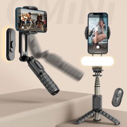 DEVIA Gimbal Shake-proof Tripod selfie stick Cene