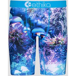 Ethika Shroomly Boksarice uni Cene